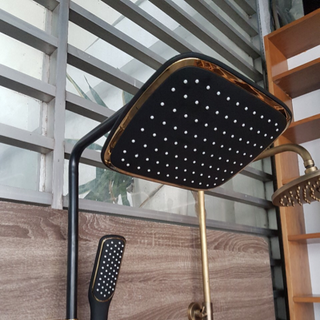 Vòi sen tắm sơn tĩnh điện Malaysia