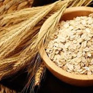 Sỉ Yến mạch cán dẹp