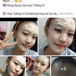 MẶT NẠ HOA TƯỜNG VY