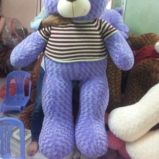 Gấu teddy 1m 1m2 1m4 1m6 1m8 2m áo len giá sỉ