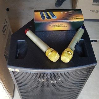 Loa Kéo MBA DSP 15 Plus Giá Tốt