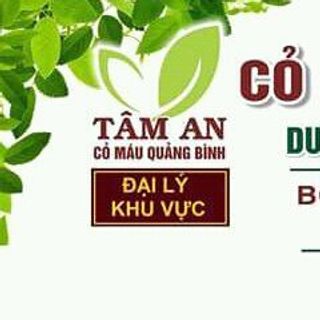 cỏ máu tâm an