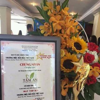 cỏ máu tâm an