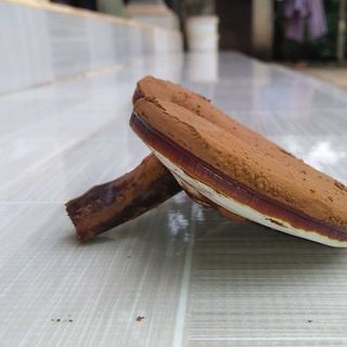 Nông sản NẤM LINH CHI ĐỎ nguyên tai