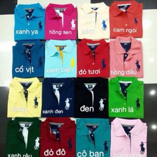 Sỉ áo thun cá sấu nam