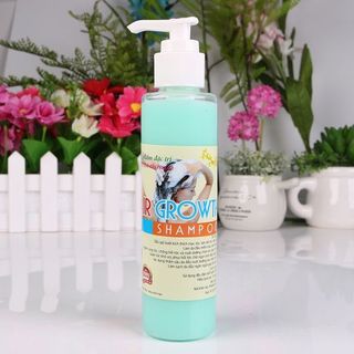 DẦU GỘI BƯỞI
