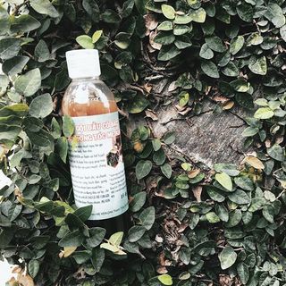 Dầu gội thảo dược bồ kết trị rụng tóc Me Ken