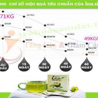 Trà Thảo Mộc Giảm Cân Hoa Sâm Đất