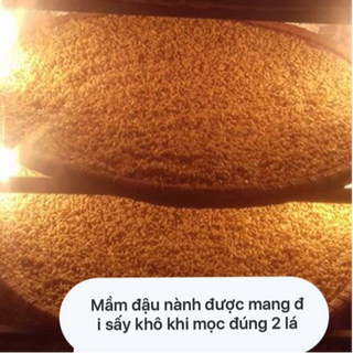 Tinh mầm đậu nành