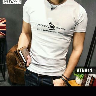 ÁO THUN NAM COTTON 4 CHIỀU