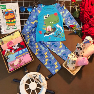 Set đồ bộ 6 hình