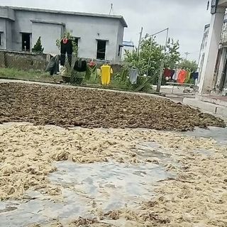 Rau câu khô sạch - Thực phẩm sạch tự nhiên