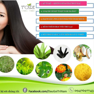 DẦU GỘI TRỊ GÀU VÀ NẤM TCARE