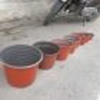 chậu nhựa giá sỉ