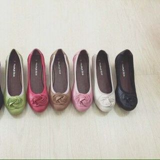 Xuồng Da nơ cuốn