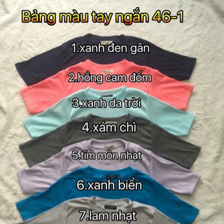 áo thun gân borip giá sỉ