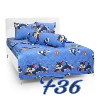Bộ ga gối Cotton thắng Lợi Họa tiết Mèo TOM F36