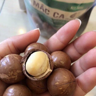 Hạt macca Tây Bắc