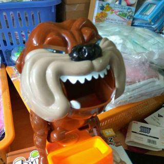 lấy xương chó bull