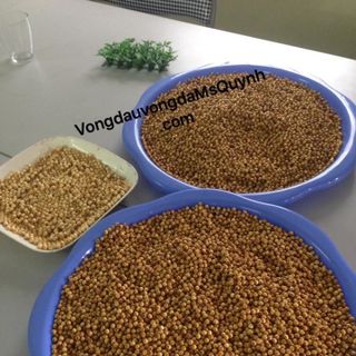 Hạt dâu tằm 6ly gỗ gốc 1 lạng
