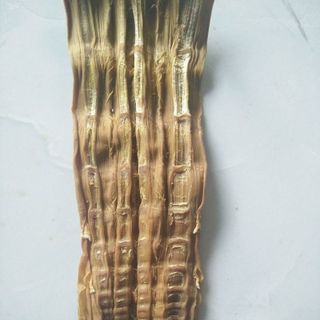 Măng khômăng le rừng