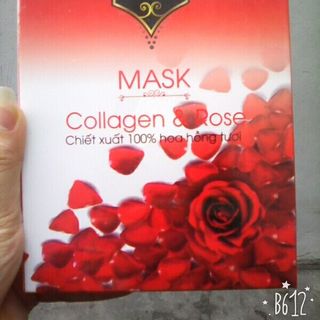 Mask College Hoa hồng giá sỉ