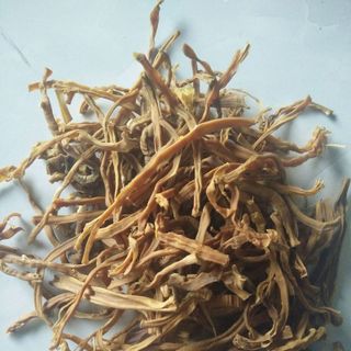 Măng khômăng le rừng