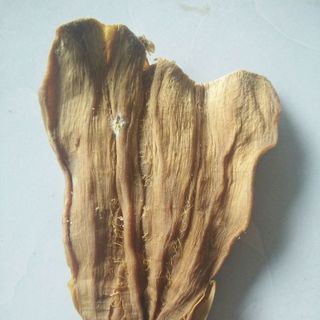 Măng khômăng le rừng