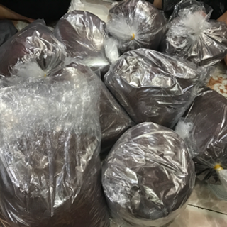 hạt ngũ hoa