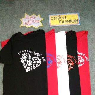 Ao thun thời trang