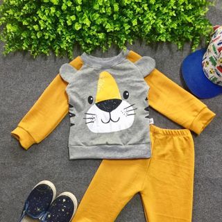 Bộ hổ da cá