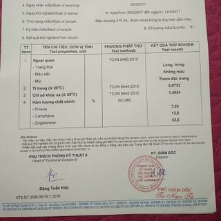 Tinh dầu Gừng - 100 tự nhiên