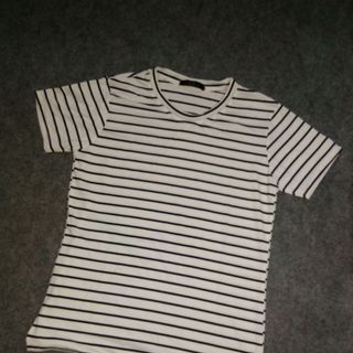 Ao thun cotton 100