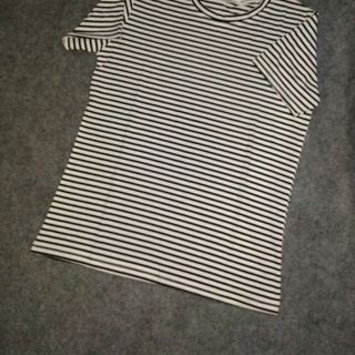 Ao thun cotton 100