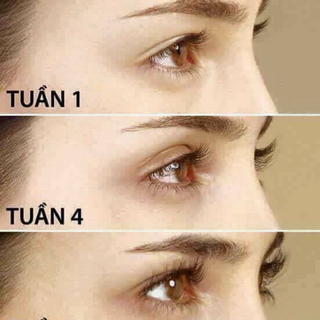 DƯỠNG MI
