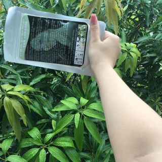 bột thuốc bắc tắm trắng
