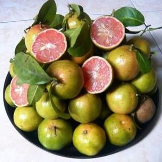 Mật ong nguyên chất- Ngâm chanh đào nghệ Ăn uống