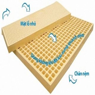 NỆM CAO SU THIÊN NHIÊN 100 HƯƠNG TRÀ XANH 1M6X2MX10CM