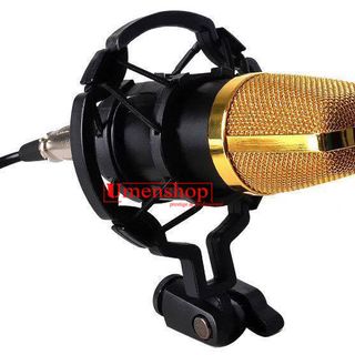 mic thu âm bm800