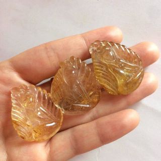 hồ ly tóc vànghồ ly chúa