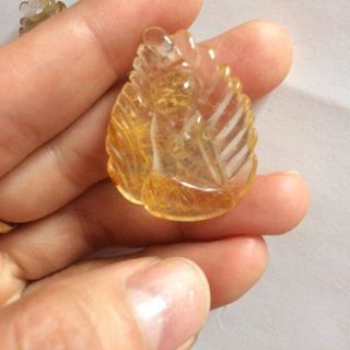 hồ ly tóc vànghồ ly chúa