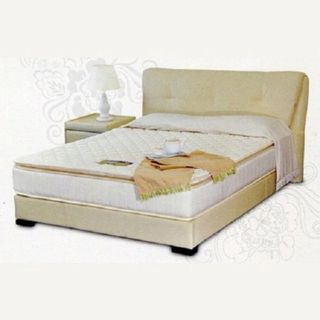 NỆM CAO SU NON 100 THIÊN NHIÊN GẤP 2 1m6x2mx10cm