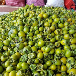 hồng giòn tại cây