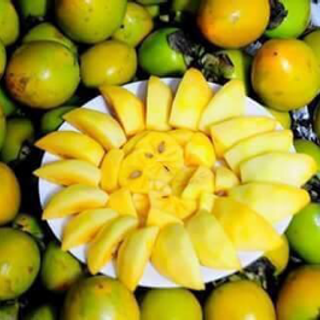 hồng giòn tại cây