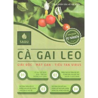 Trà bột hòa tan cà gai leo 100 tự nhiên - giải độc mát gan 150g