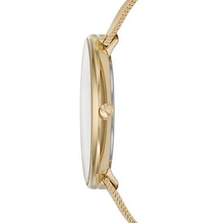 Đồng hồ thời trang nữ dây kim loại Skagen SKW1075 - Mặt 30mm