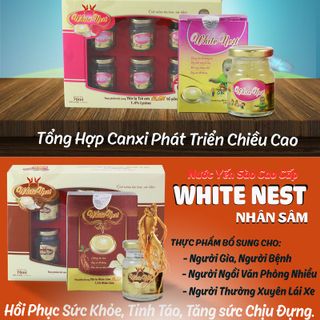 yến sào hũ nhân sâm