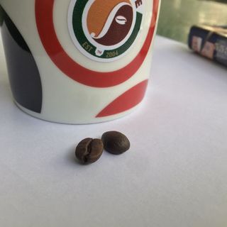 cà phê hạt Arabica gói 500gr