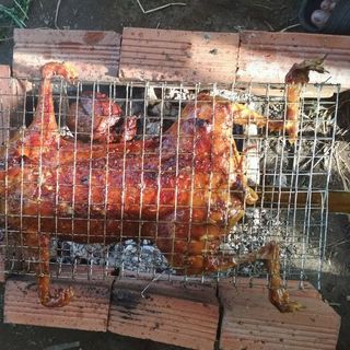 Thỏ nướng xa lửa