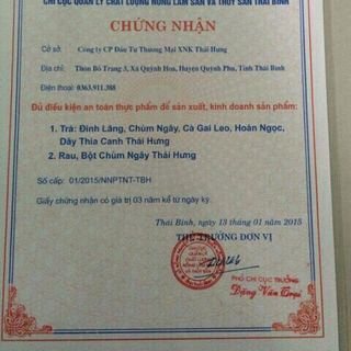 Trà chùm ngây Thái hưng